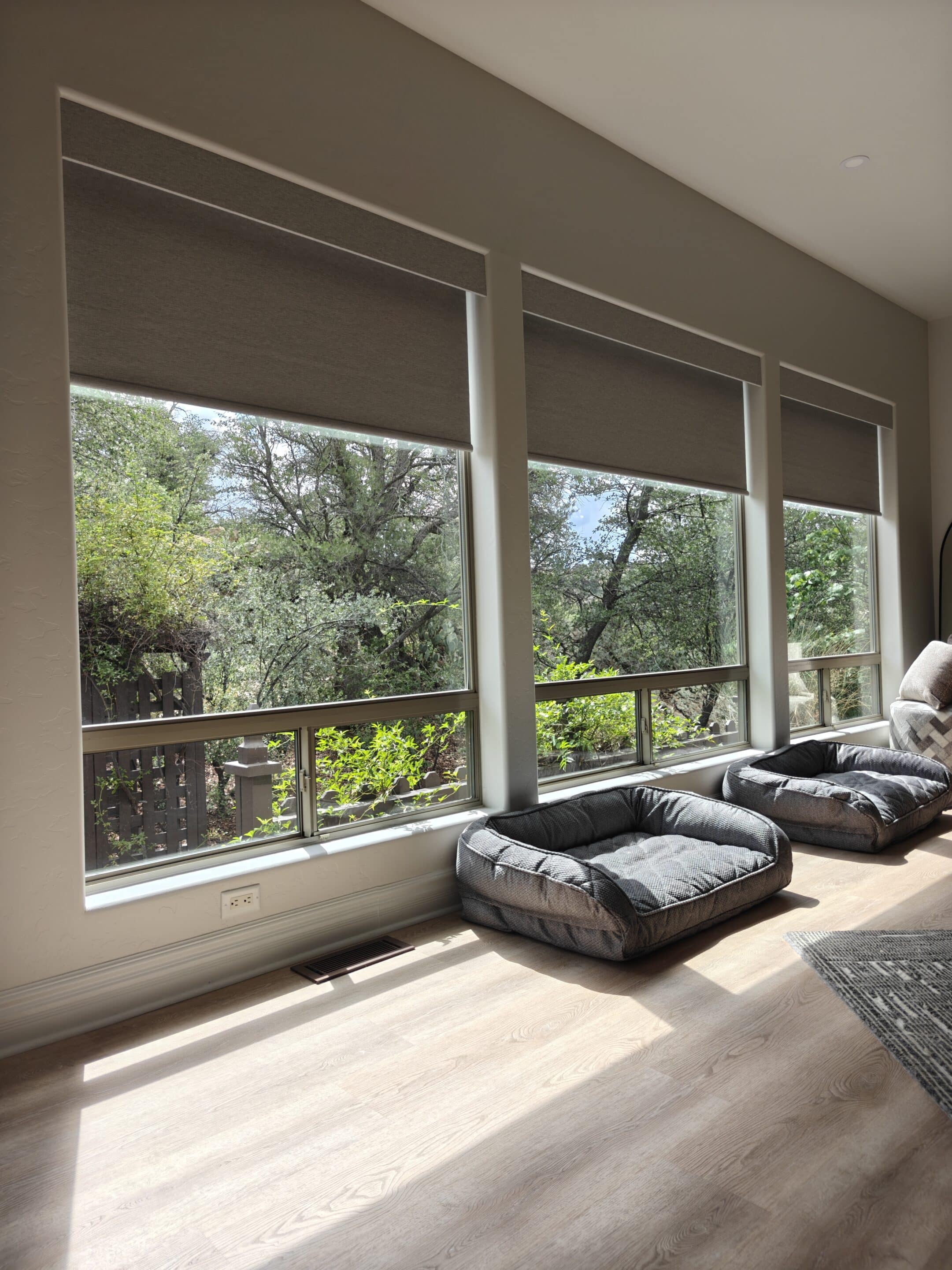 Blackout Roller Shades Prescott